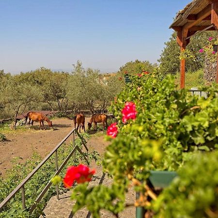 شقة Horse House Ragalna المظهر الخارجي الصورة
